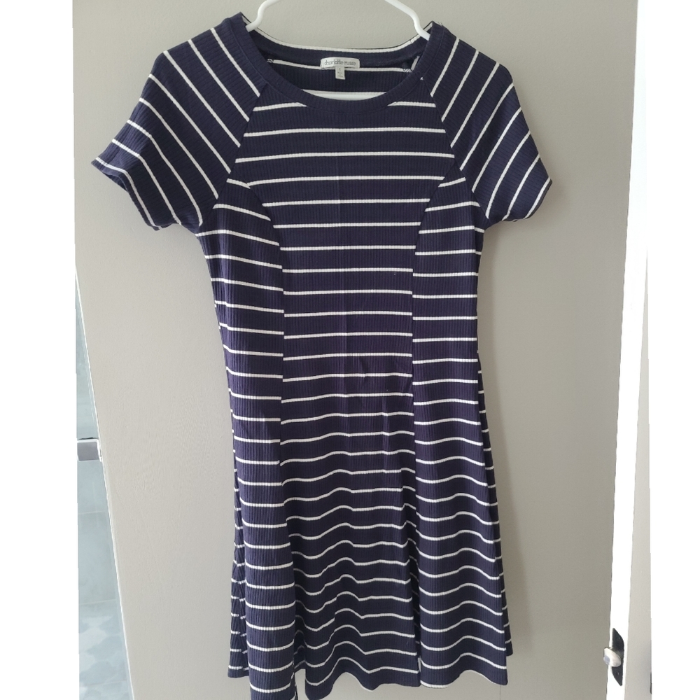 Striped Skater dress
